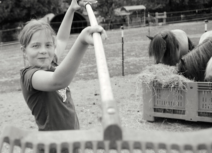 Ponykids-Miniclub-Teck Ponykids-Miniclub-Teck